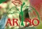 ARNO Szkółkarstwo Sadownicze Anna i Ryszard Nowakowscy – logo