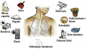 Logo: Poradnia Alergologiczna dr Jan Czaban - alergolog, pulmonolog, internista