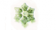Logo: Gabinet Homeopatyczny Ewa Staszczyk Spec Chorób Wewnętrznych.