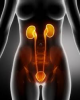 Logo: ISPL Maciej Kupajski dr nauk med. specjalista urolog