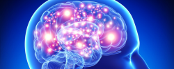 Logo: Gabinet Neurologiczny Beata Piotrowska